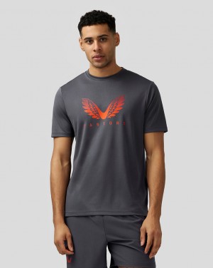 Pewter Blue Castore Adapt Short Sleeve Graphic T Shirt | 5083974-NO